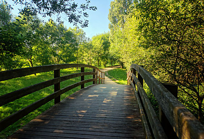 Fototapeta Dřevěný most v parku 24780